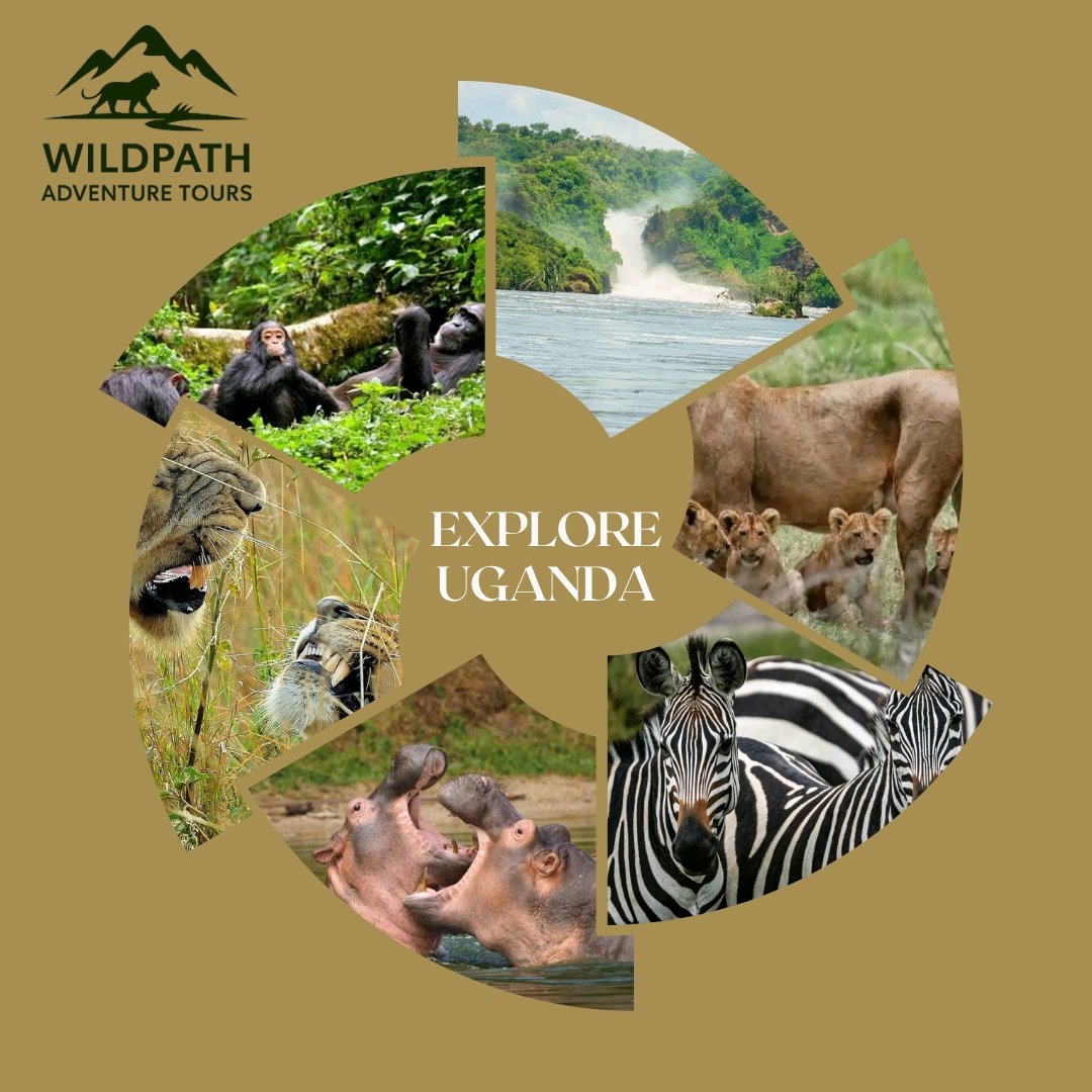 Wildpath adventures tours