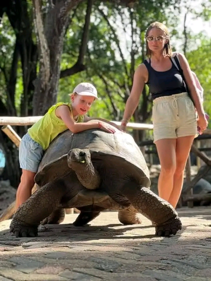 Nakupenda Tours and Safaris