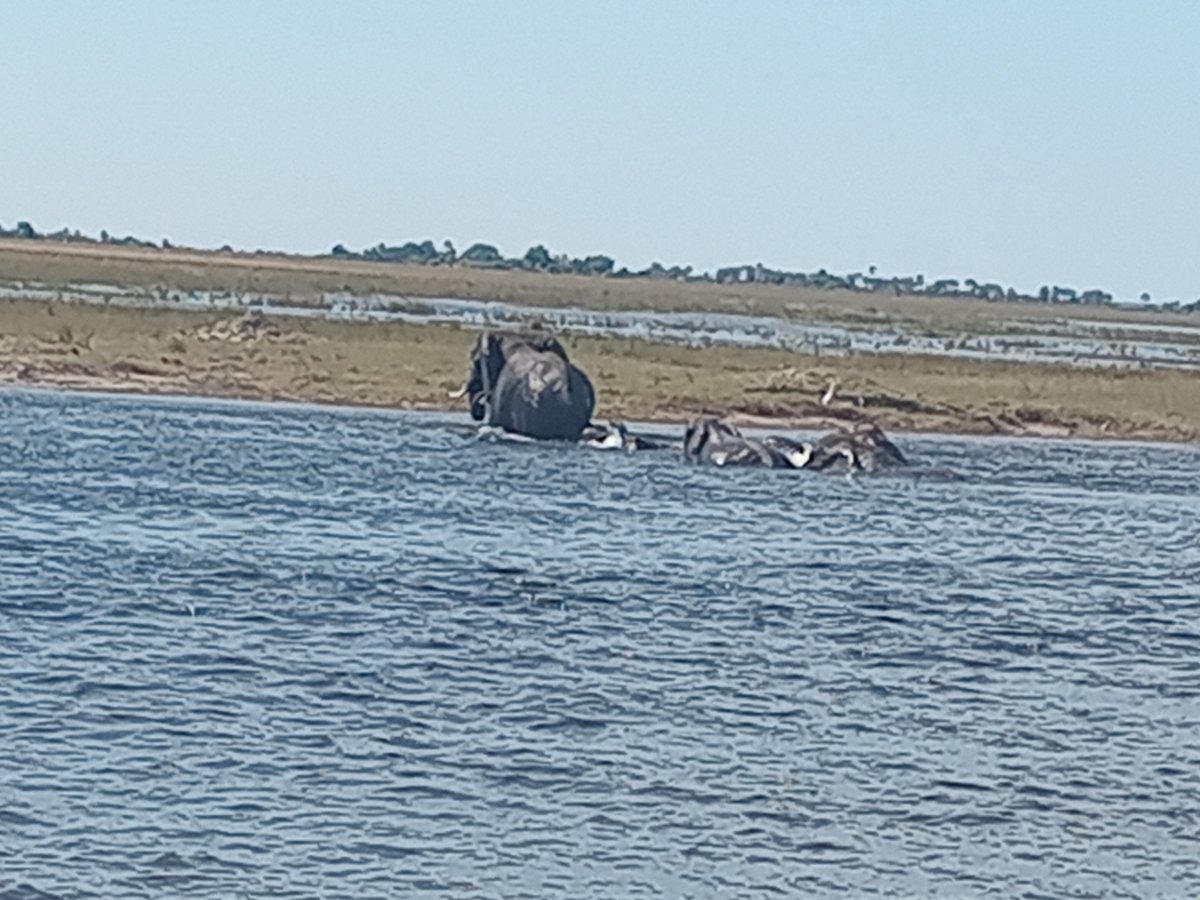 Action adventure safaris