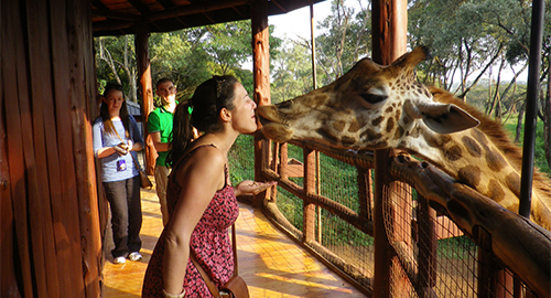 Lejama Tours