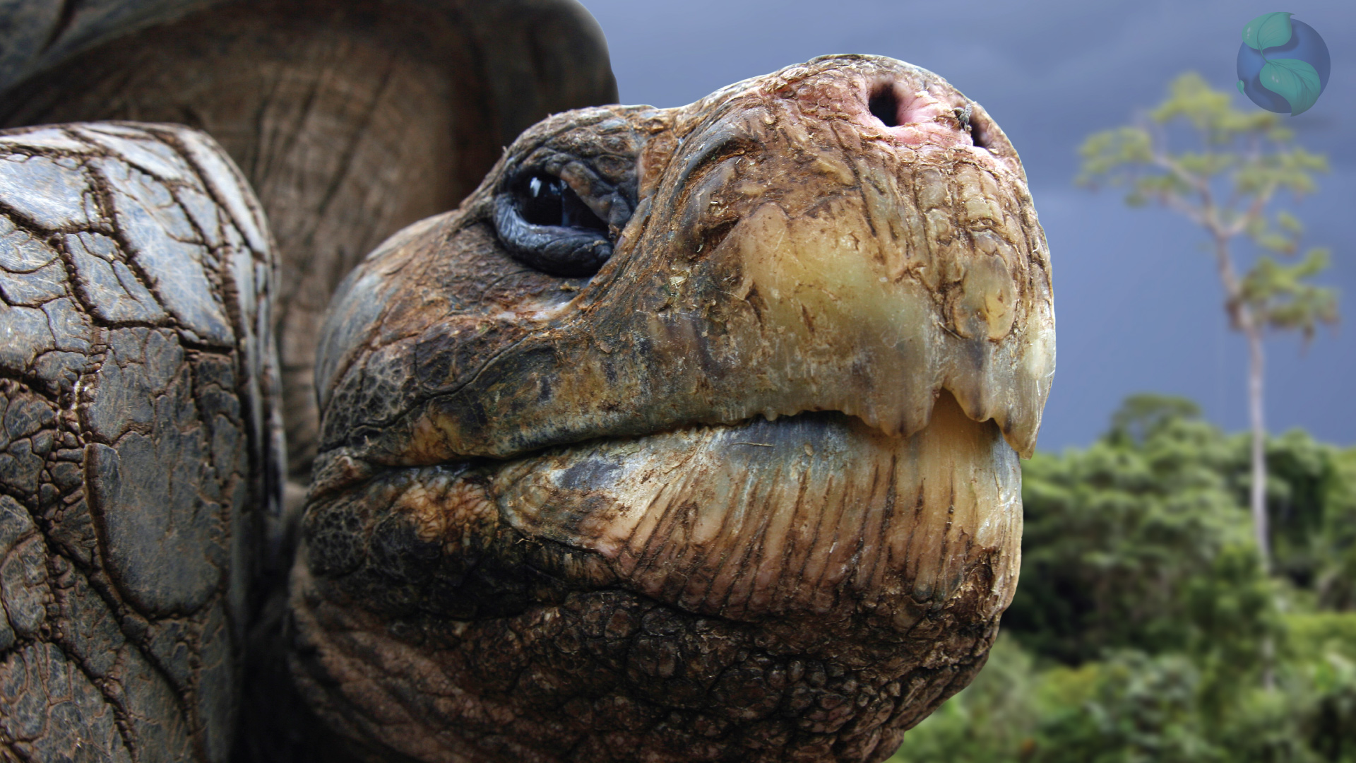 Smart Galapagos