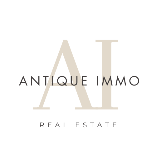 Antique Immo Real Estate