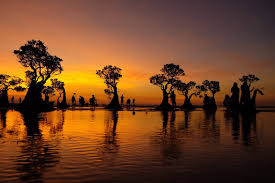 Exotic EAST Holiday