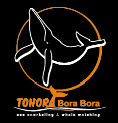 TOHORA BORA BORA