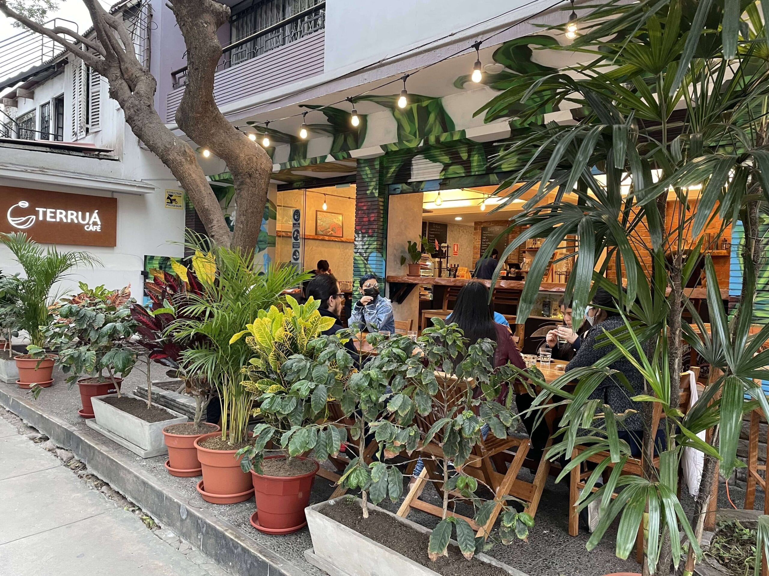 Terrua Cafe