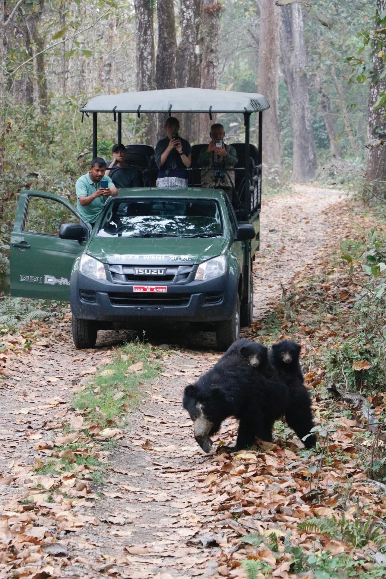Nature Encounter Tours