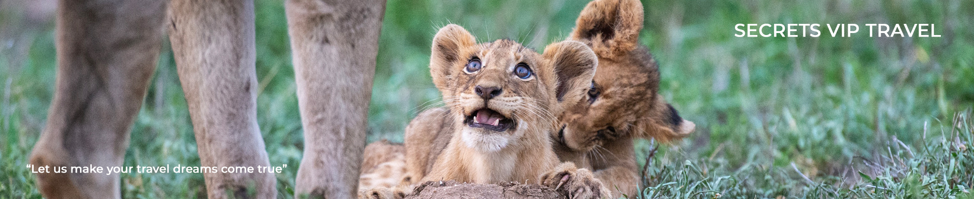 Secrets VIP Safaris
