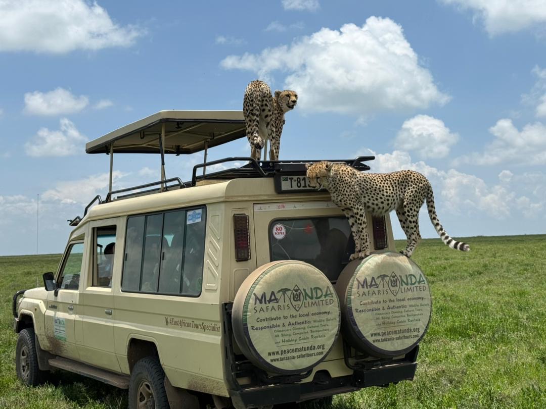 Peacematunda Safaris Tanzania