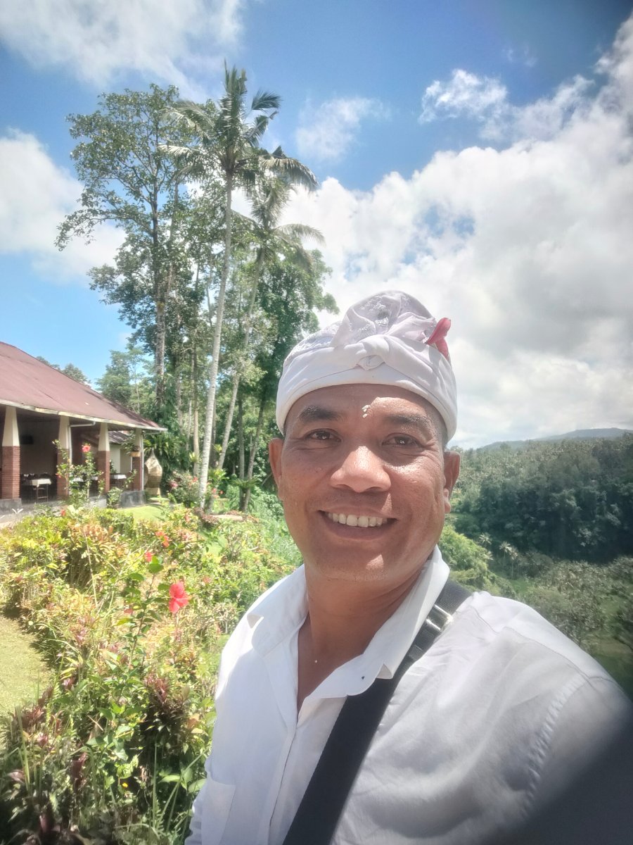 Bali driver taxi