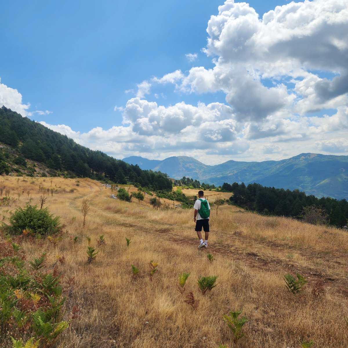 Hike like a local