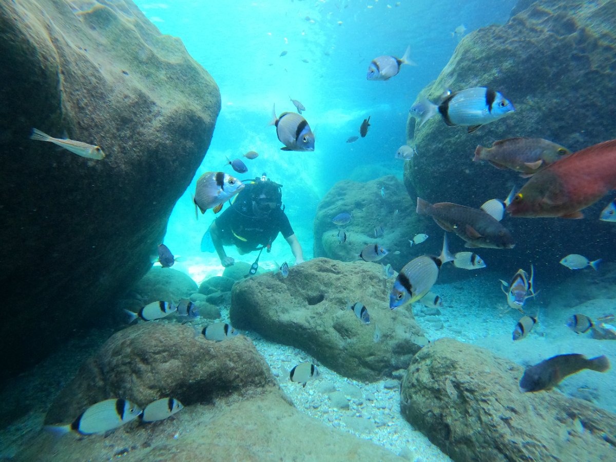 Deep Aqua Dive Center