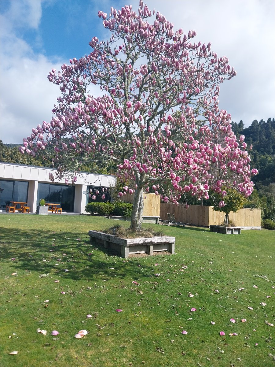 Braxmere Fishing Lodge