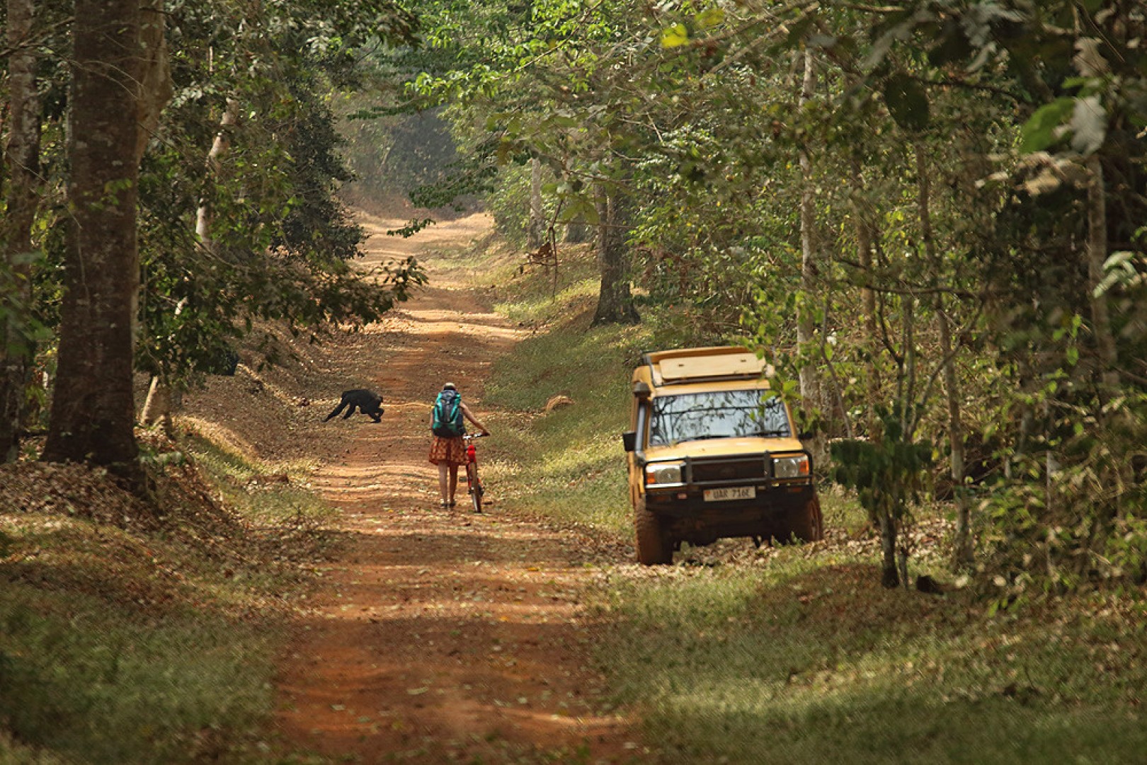 Mumwe Safaris Uganda