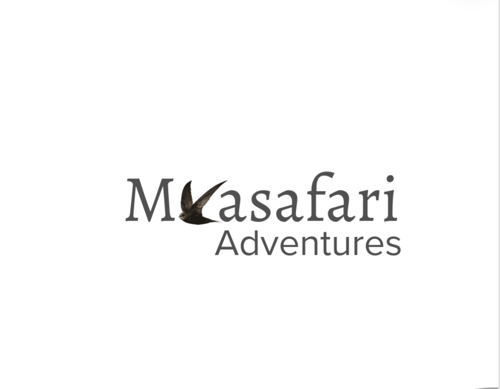 Mkasafari Adventures