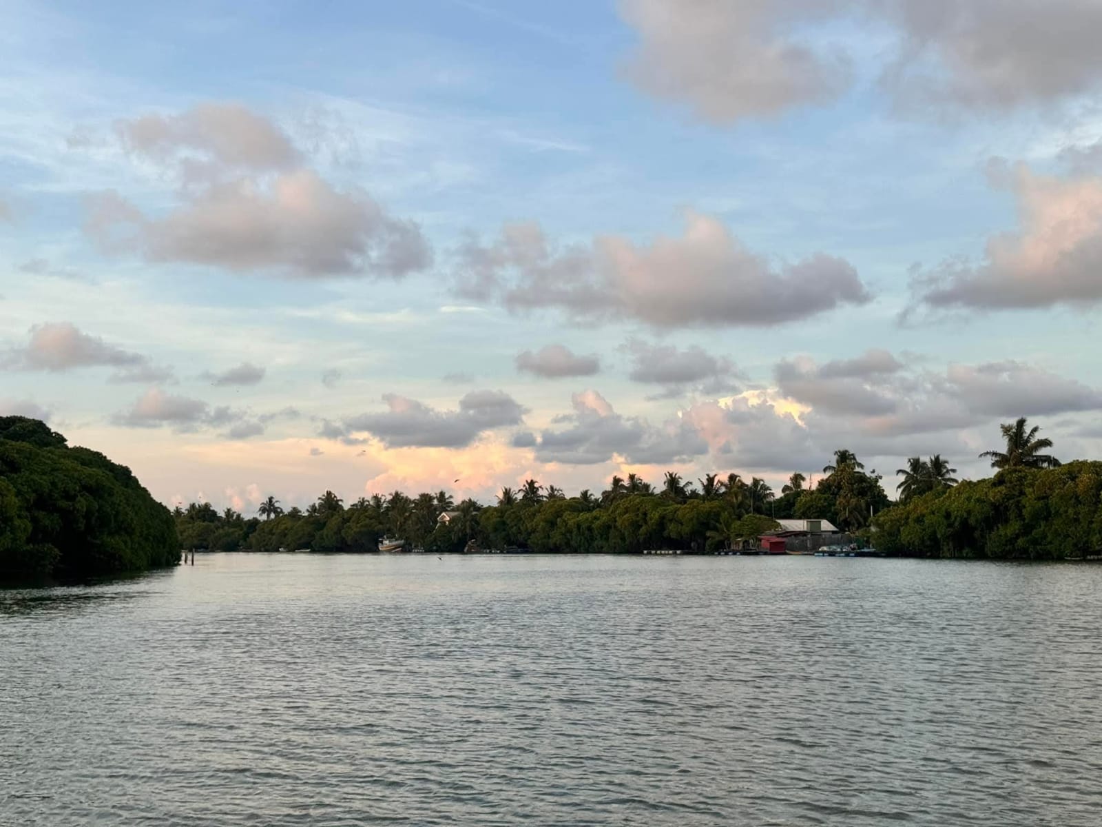 Boat Tours Sri Lanka