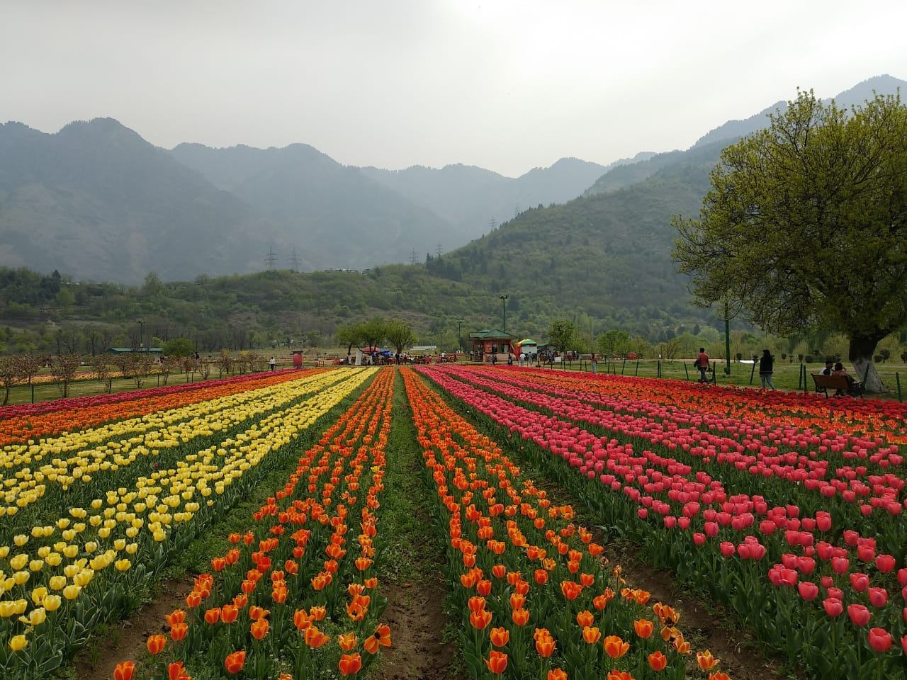 Lakes N Pine Tours and Travel