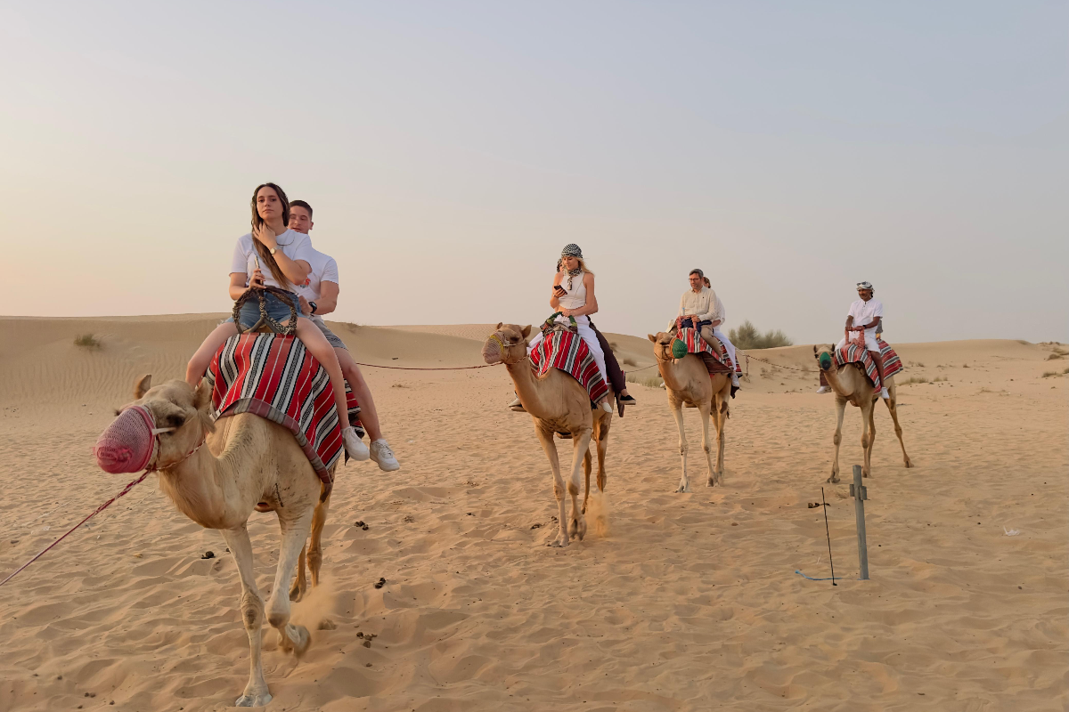 Sunset Dream Tourism LLC