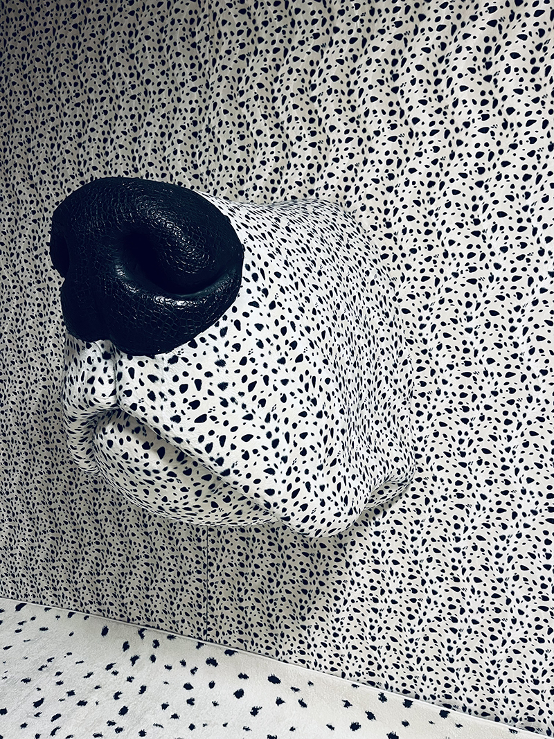 Home of the Dalmatian dog