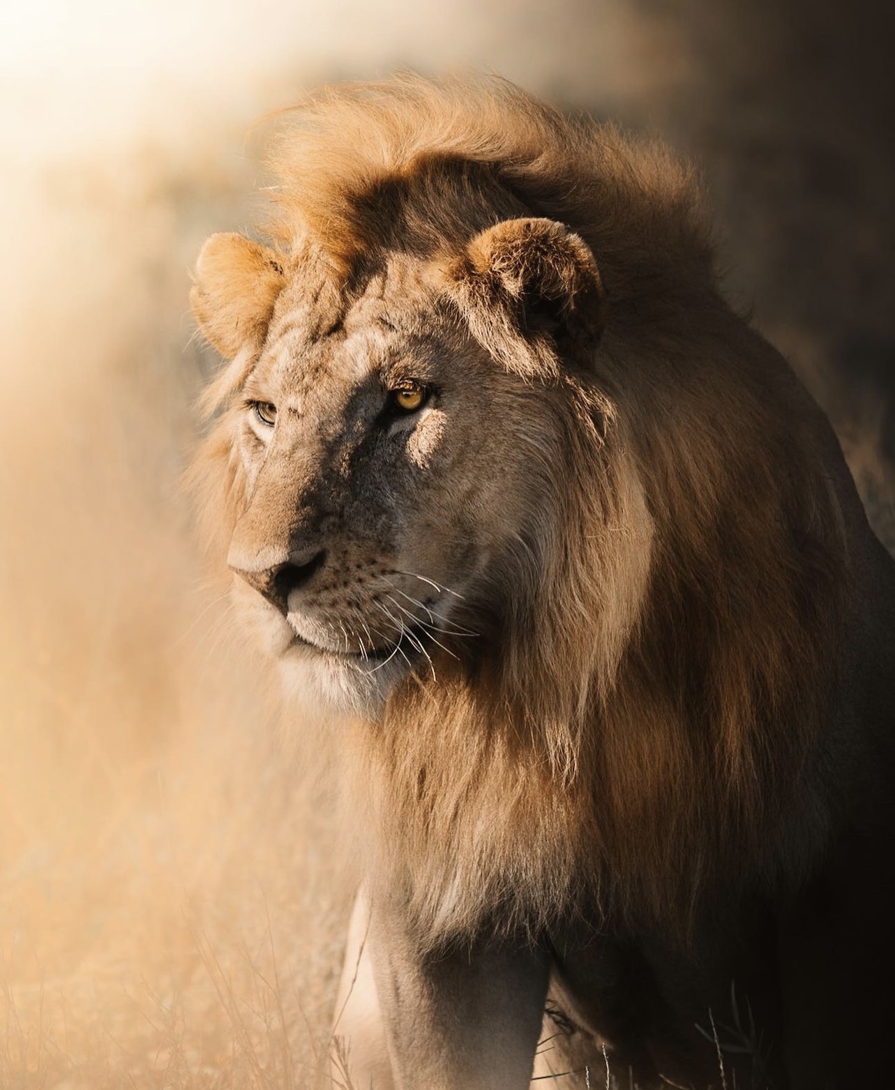 Nasikia Safaris