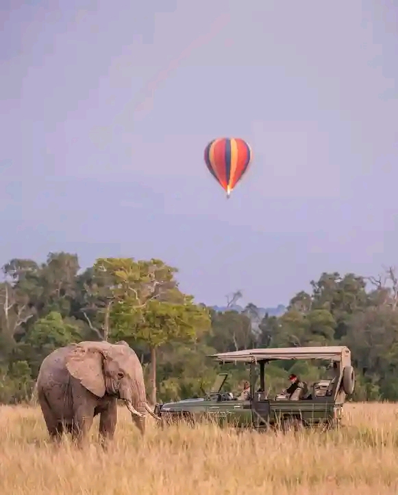 Eco World Safaris