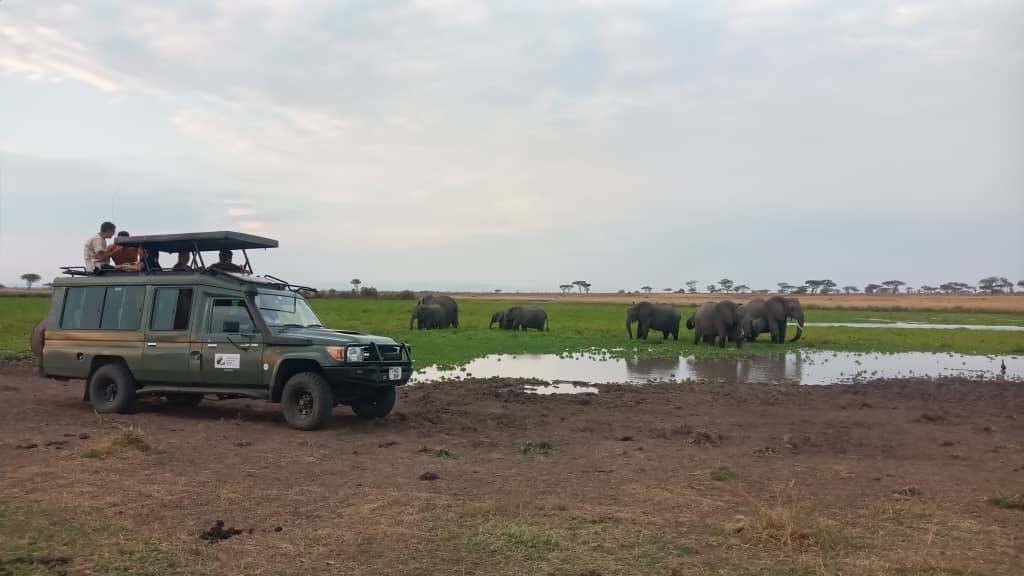Three Peaks Tanzania safari