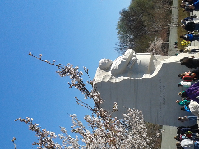 ELD Touring Enterprises-Private Small Group Tours of Washington, DC