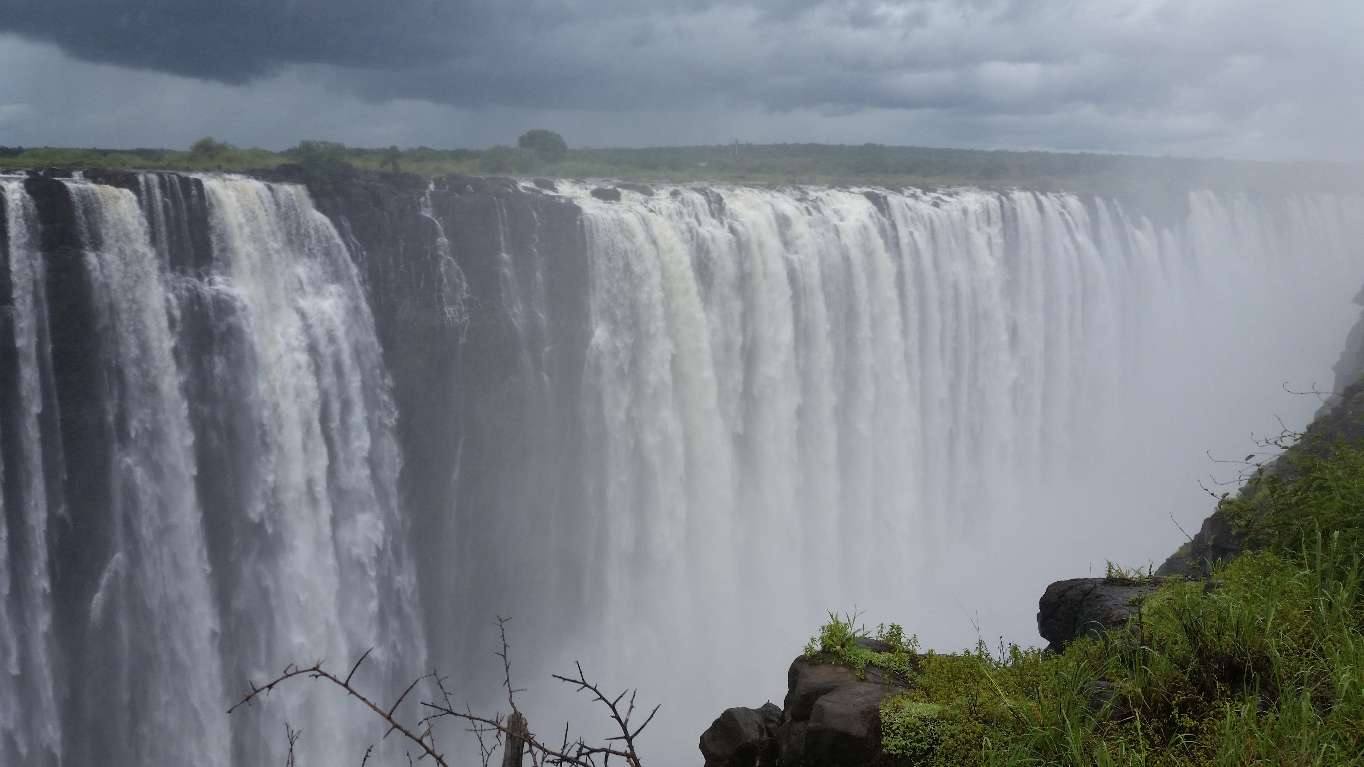 Afro Honeyguide Adventures
