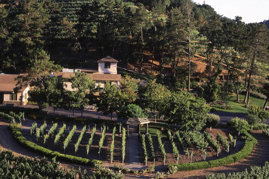 Wine Nation Tours