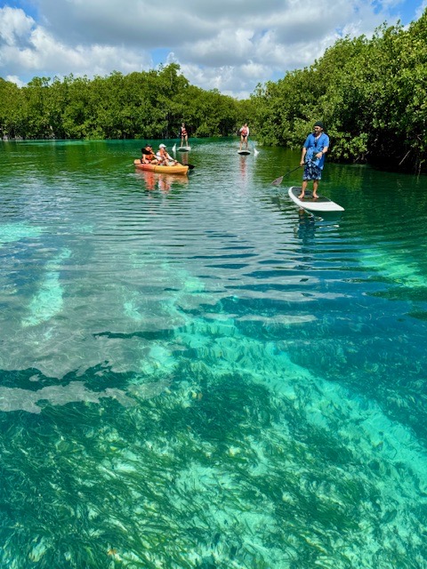 360 Kayak & Paddleboard Tours Cancun