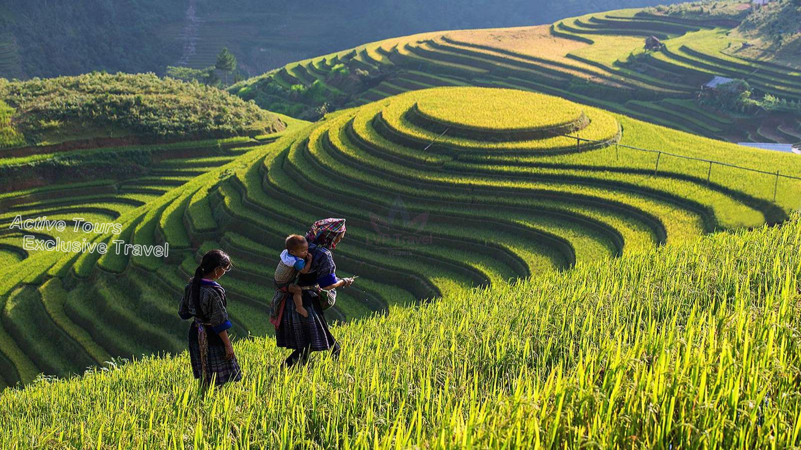 LVPTRAVEL VIETNAM
