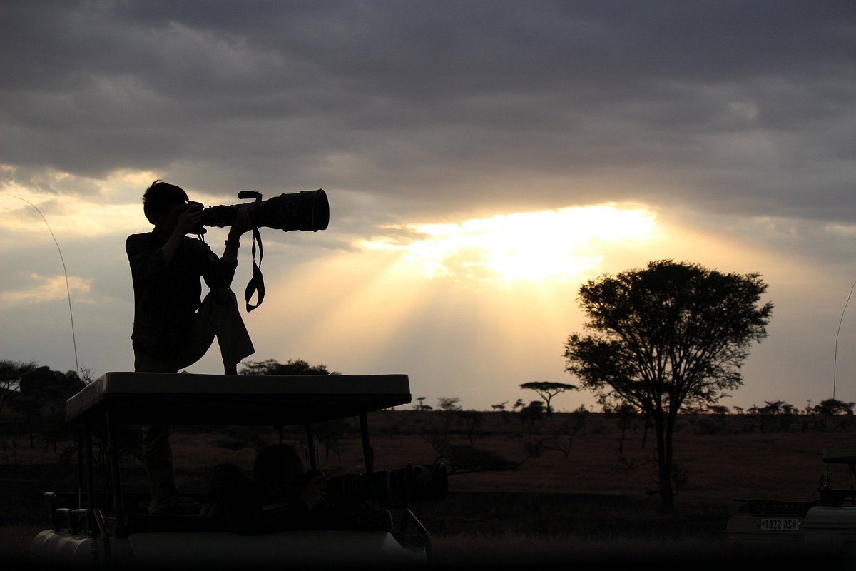 Three Peaks Tanzania safari