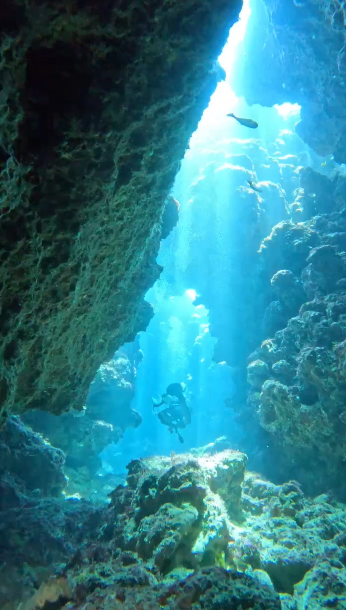 Sea Serenity Diving Center