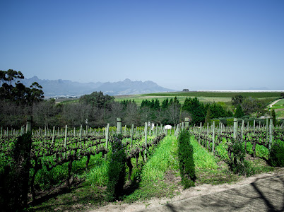 winecrewz
