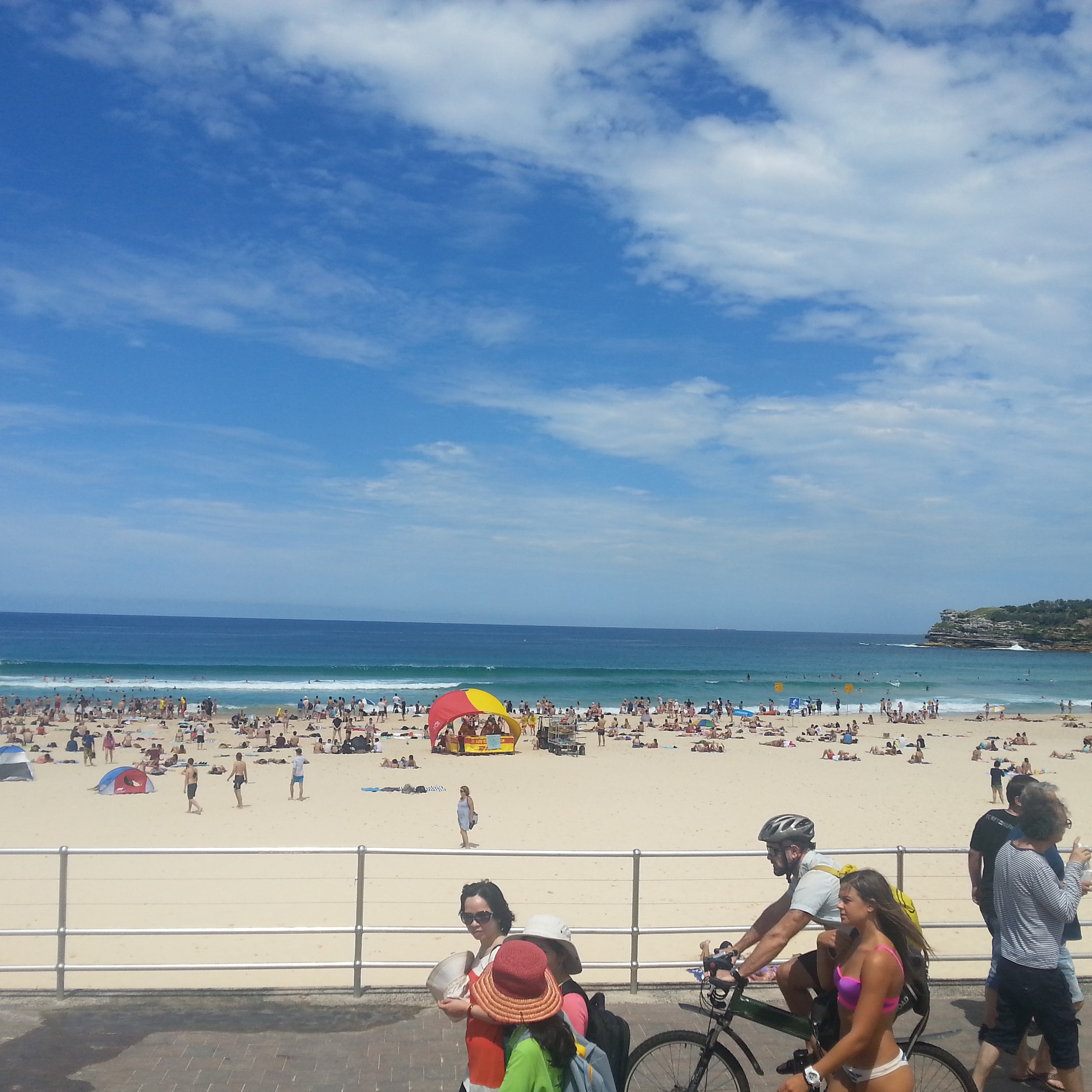 Real Sydney Tours
