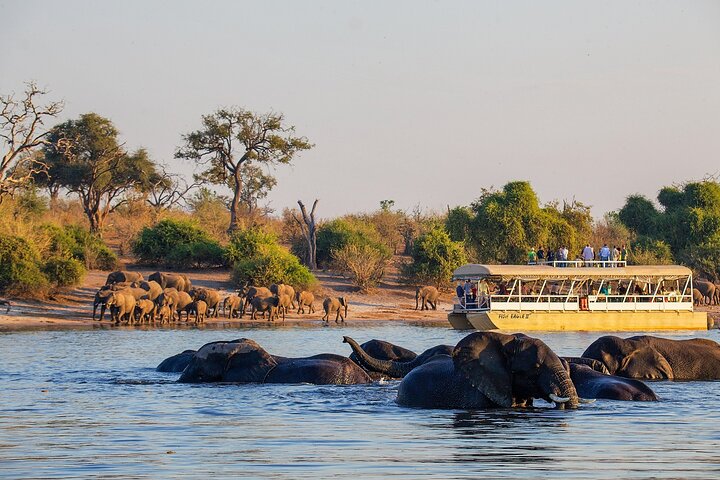 Africa Beast Safaris