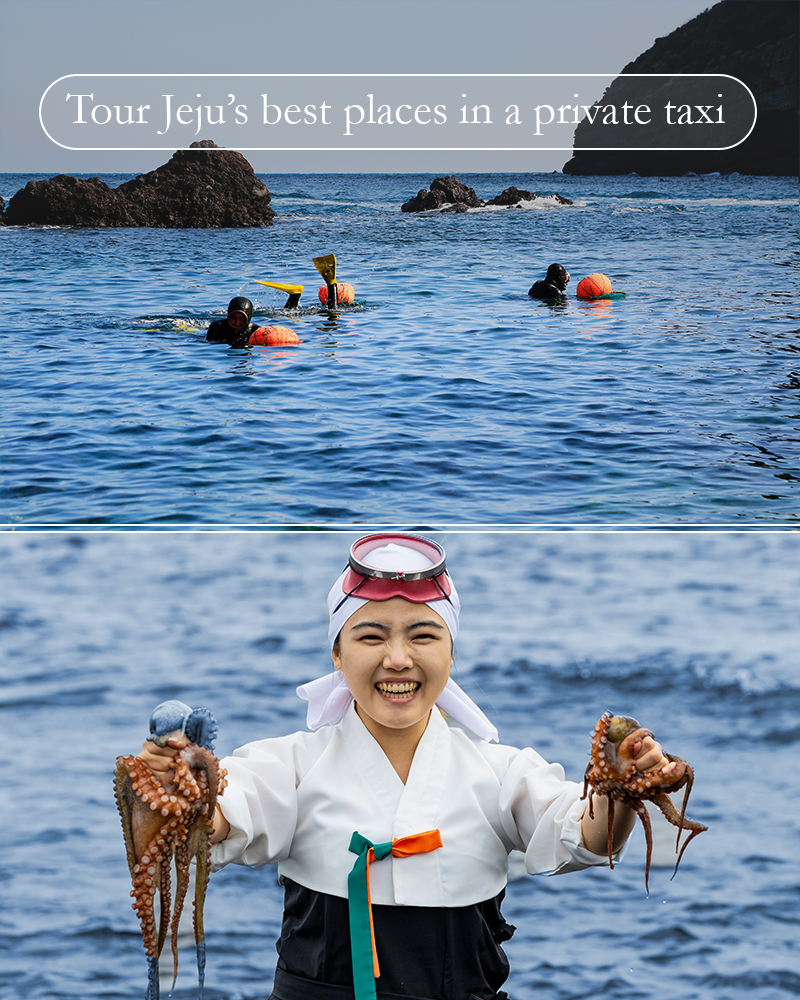 jeju rainbow tour