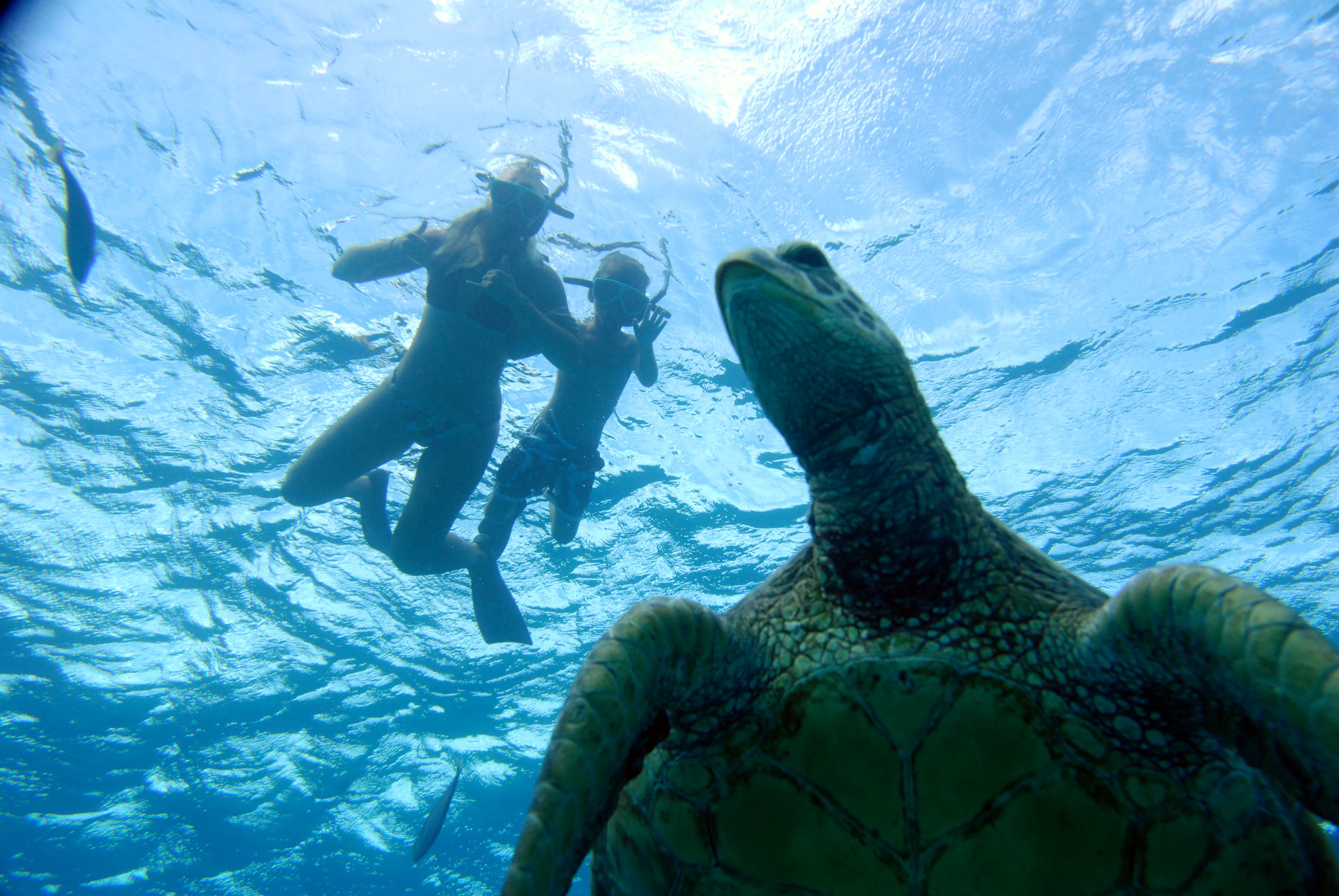 Ko Olina Ocean Adventures, Inc.