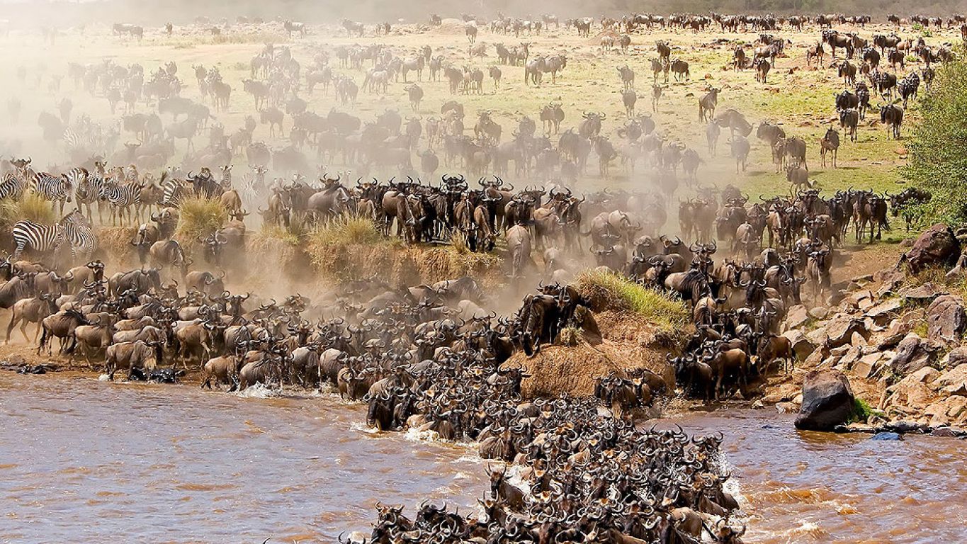Edge Crest Tours