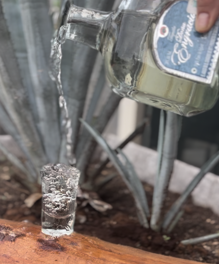 Tequilera Doña Engracia Mahahual