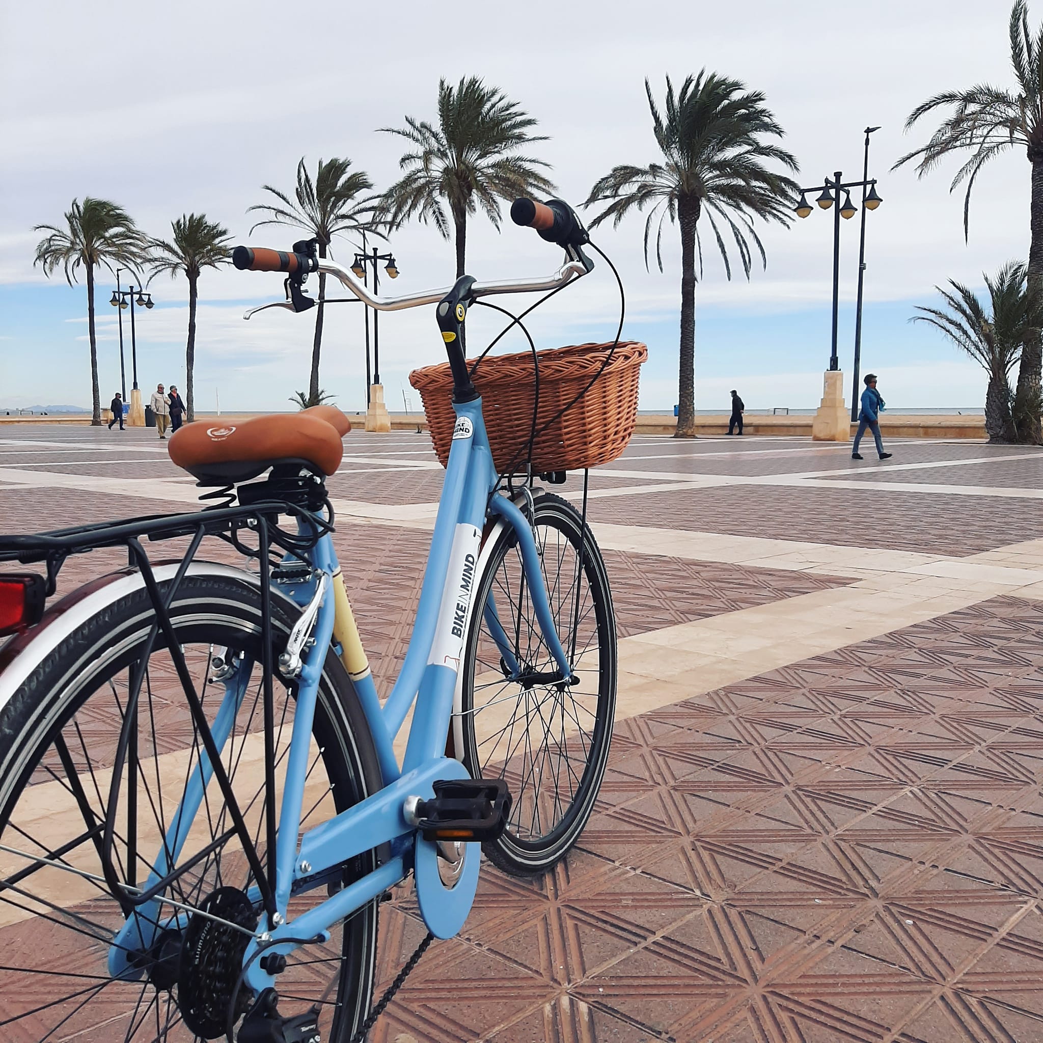 BIKE IN MIND