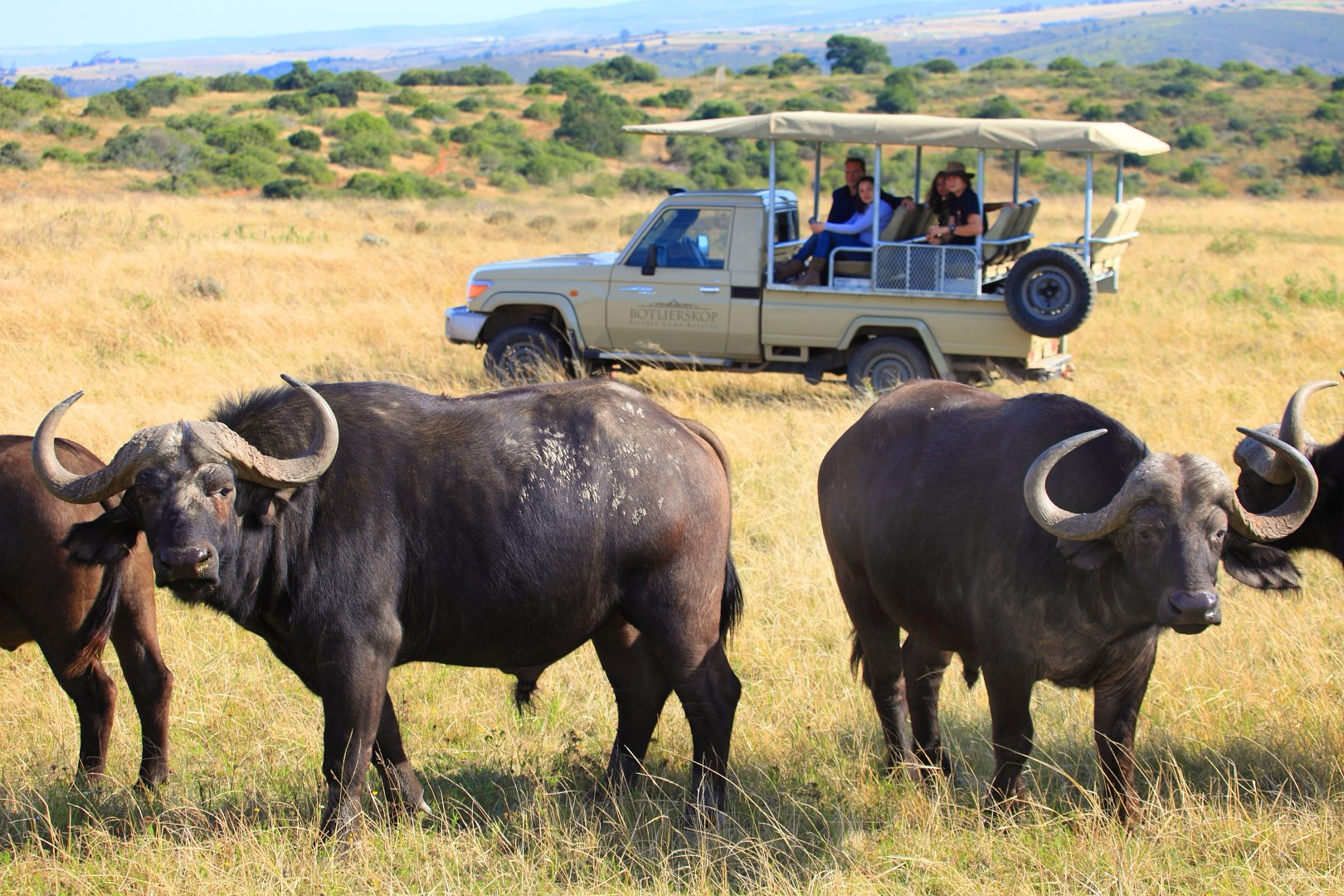 Real Africa Travel Tours