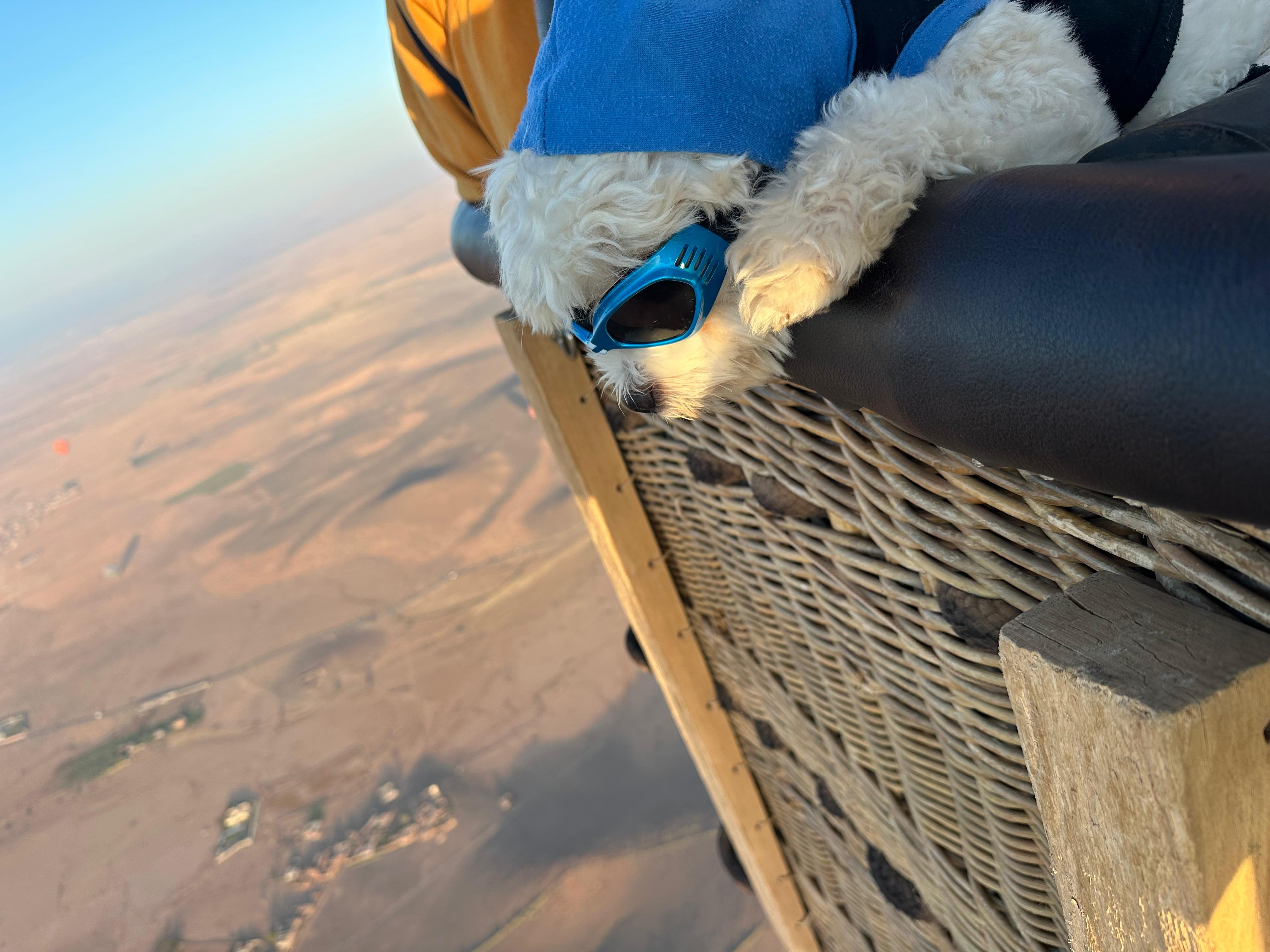 Nomad Ballooning