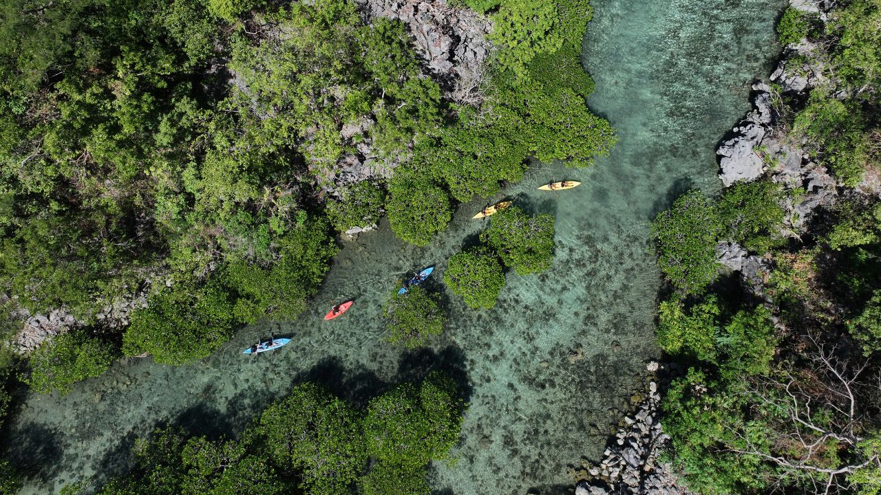 Calamianes Expeditions & Ecotours
