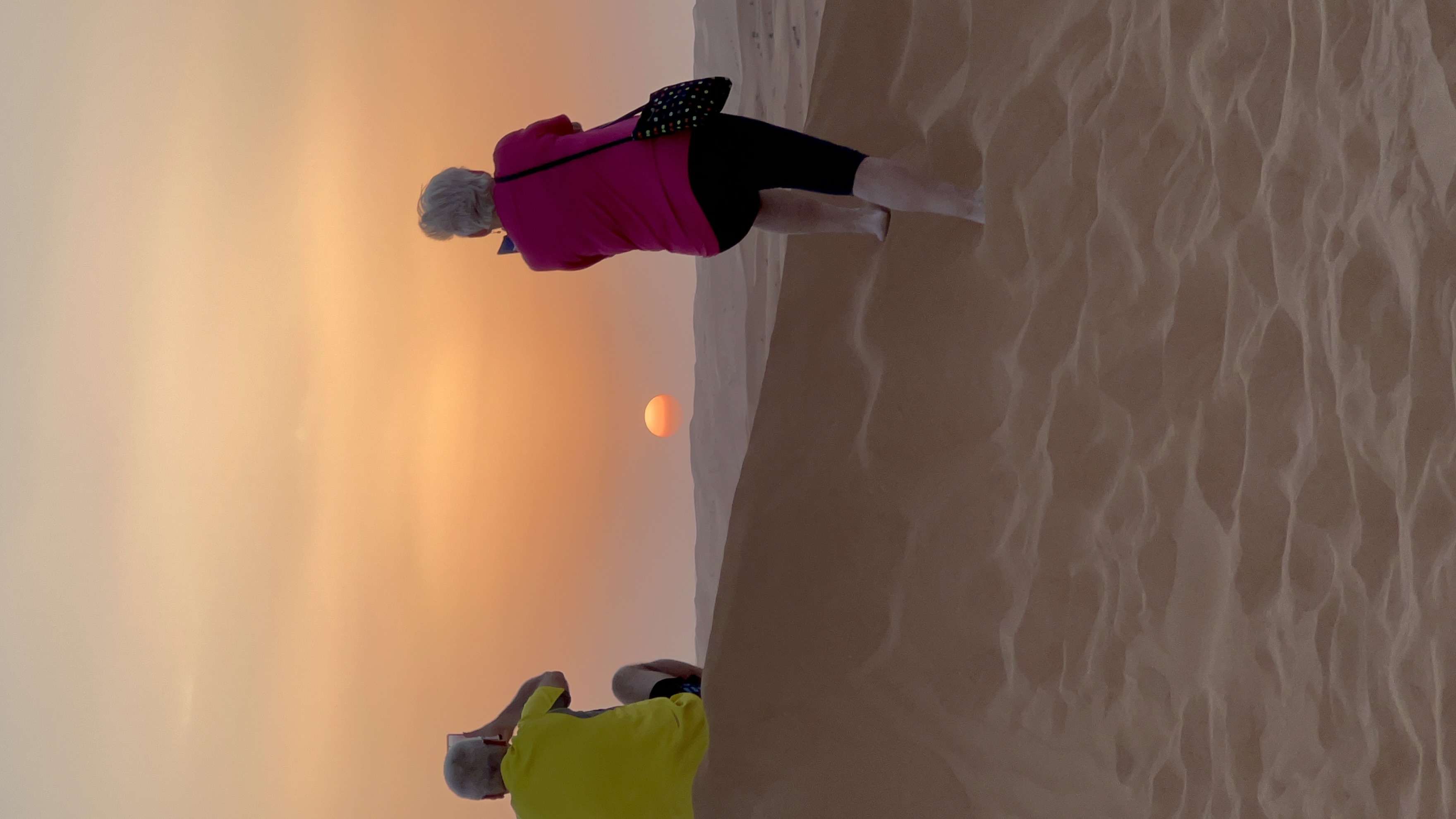 Desert safari