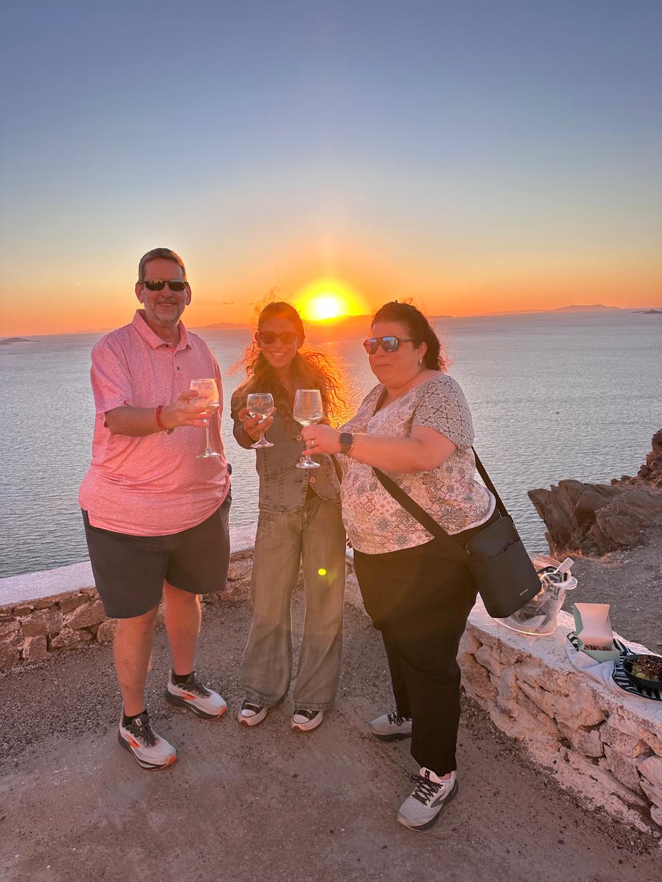 WCM MYKONOS TOURS