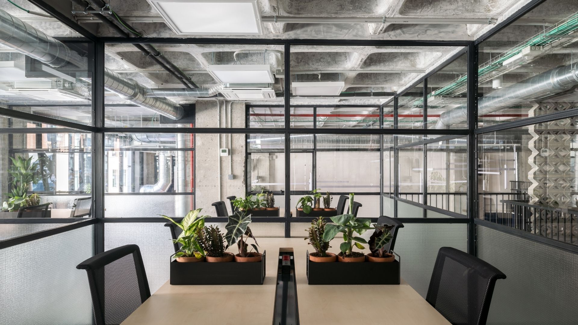 Area Coworking