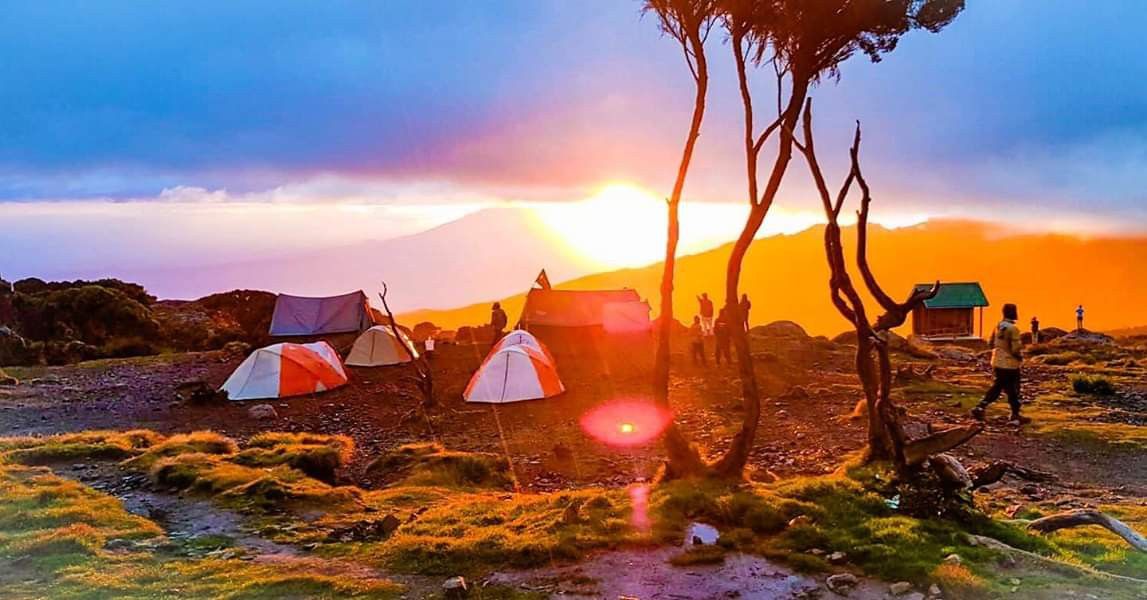 Bob Serengeti Expedition Tours Safaris