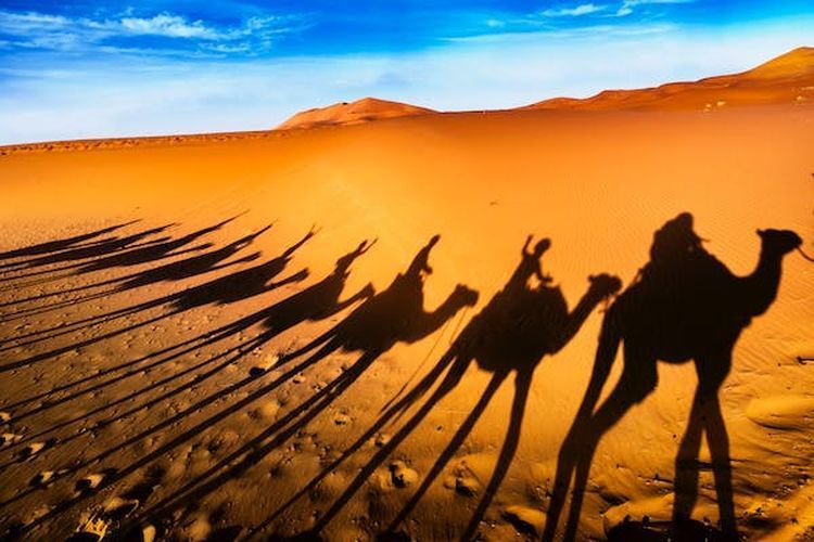 Sahara Desert Crew Tour Company
