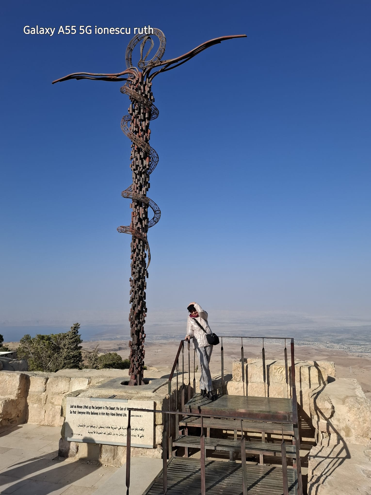 Camel Taxi Tours