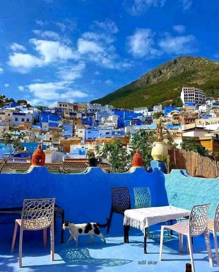 Fes to chefchaouen day trip